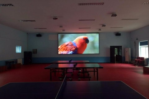 P3LED显示屏→小汤山社区